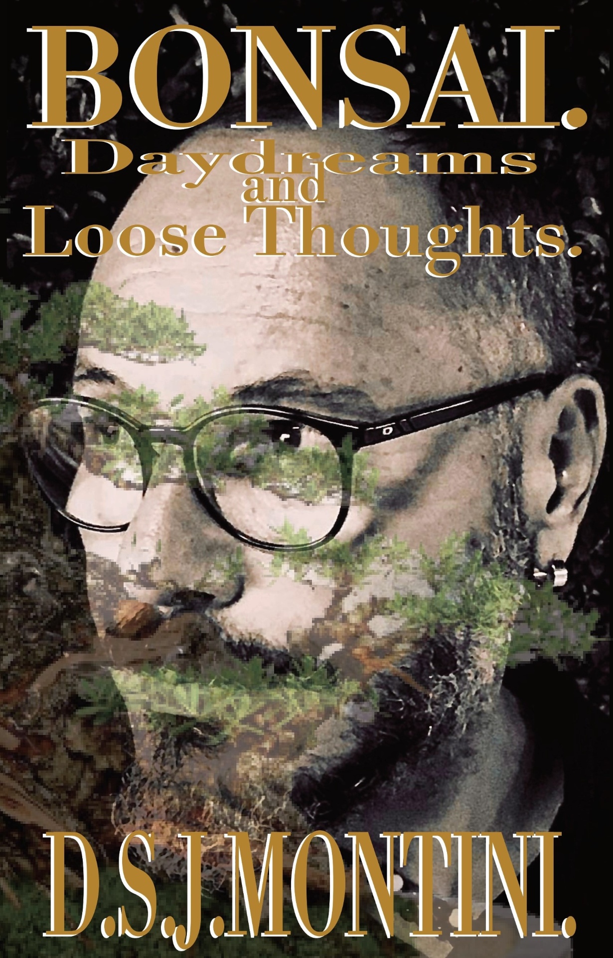 Bonsai book cover