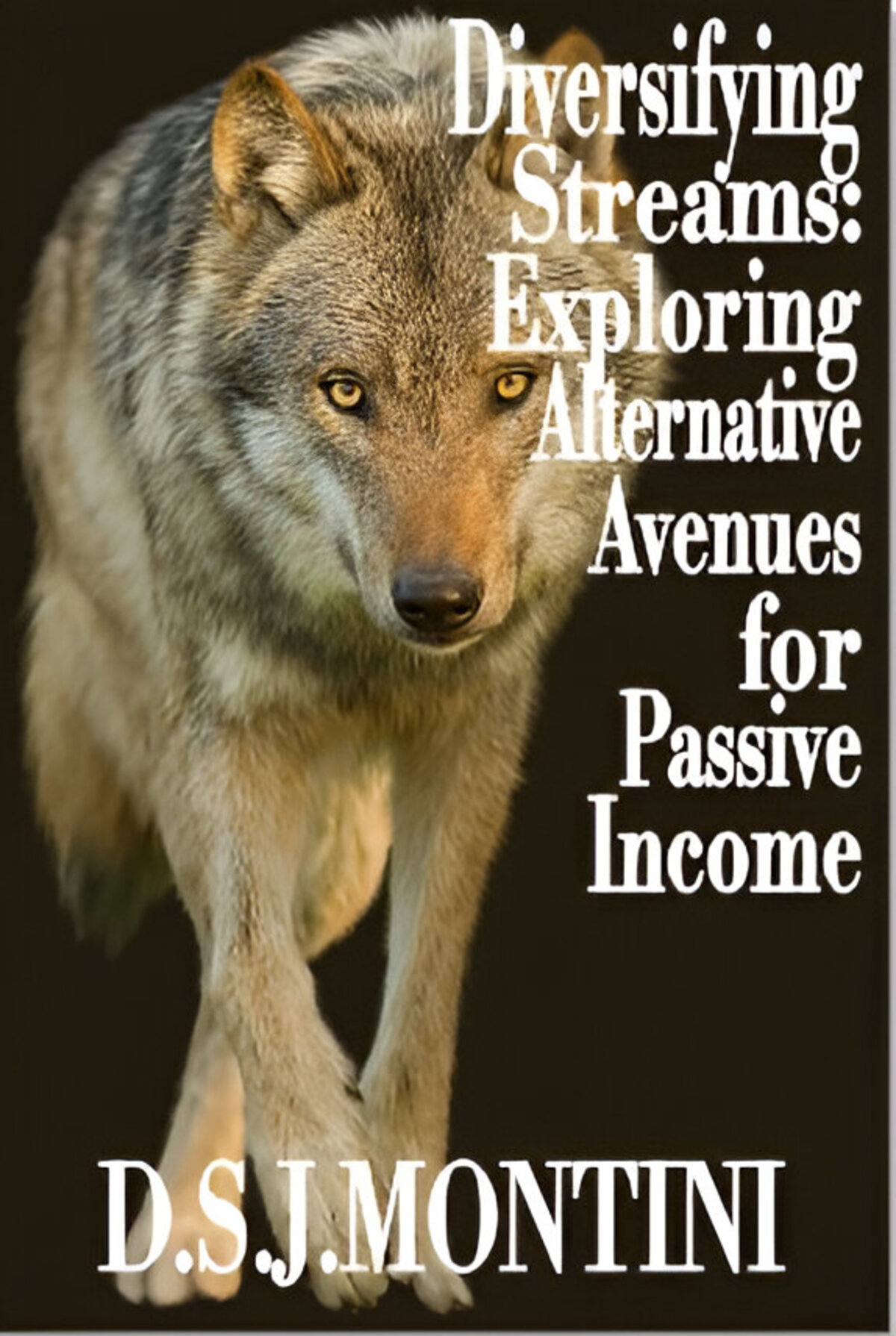 Diversifying Streams book cover