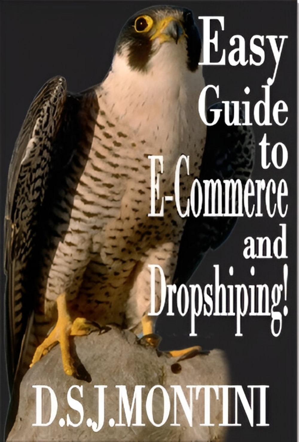 Easy Guide to E-Commerce book cover